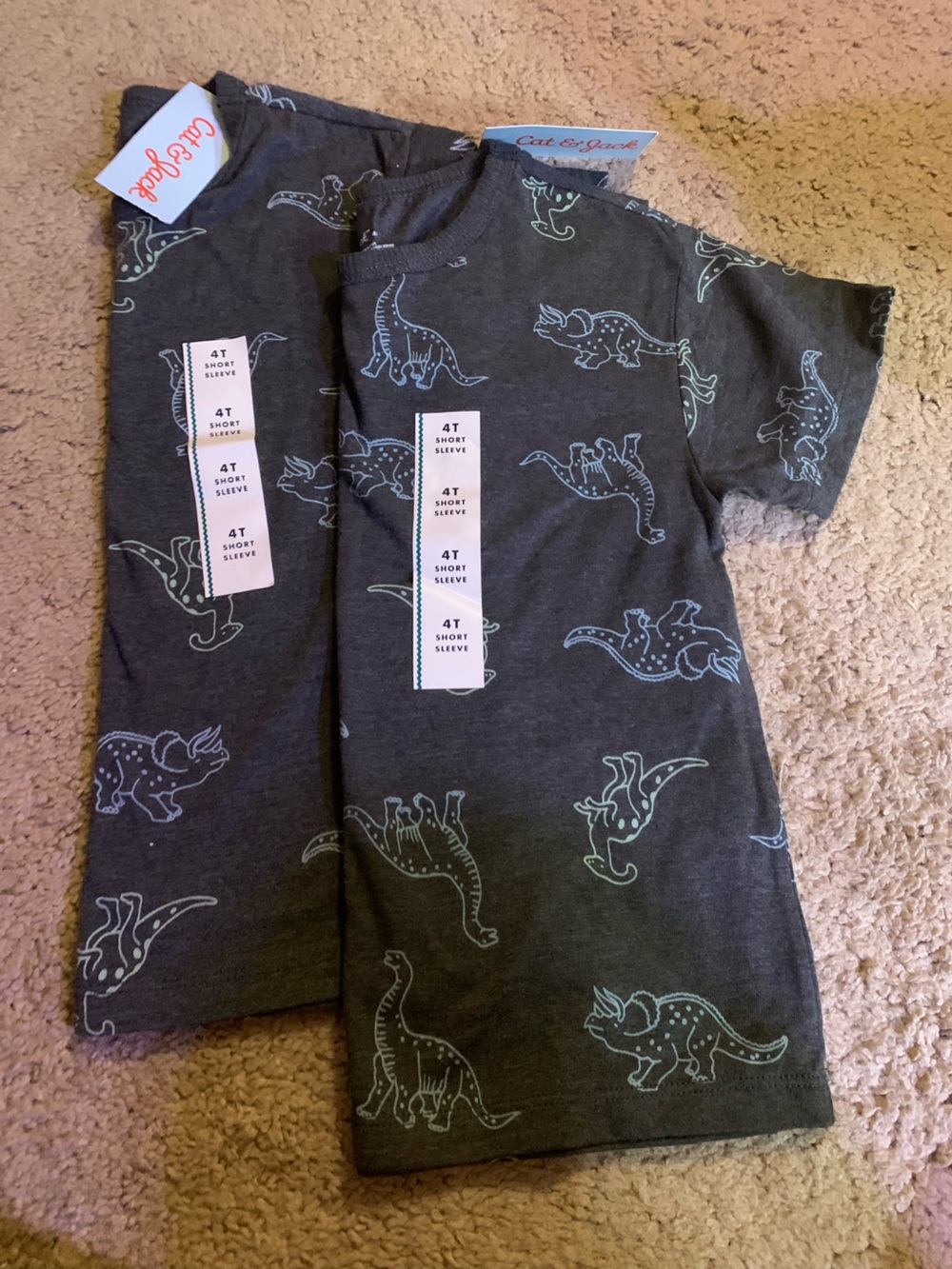 2 - Cat & Jack 4T Dinosaur Print Tees